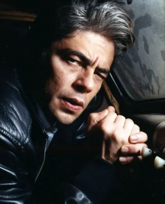 Benicio del Toro 12x12