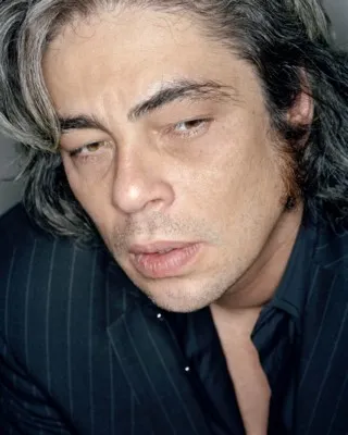 Benicio del Toro Tote