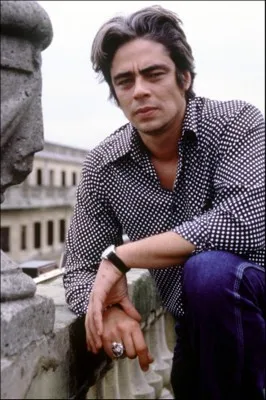 Benicio del Toro 14x17