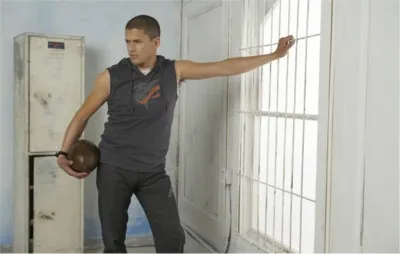 Wentworth Miller 6x6