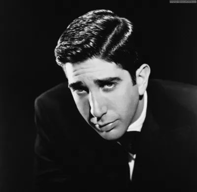 David Schwimmer Prints and Posters