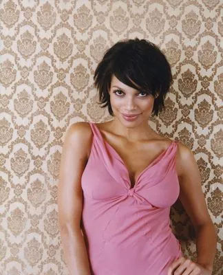 Rosario Dawson Poster