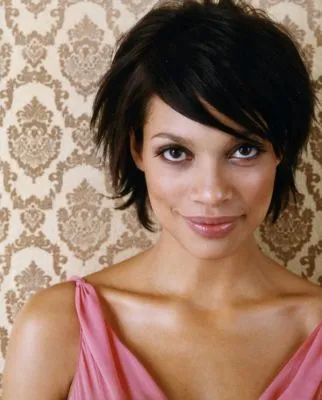 Rosario Dawson Poster