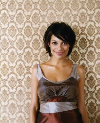 Rosario Dawson Poster