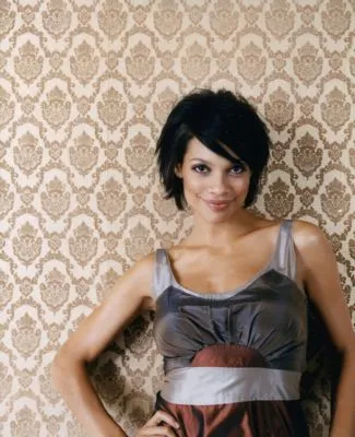 Rosario Dawson Poster