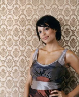 Rosario Dawson 14x17