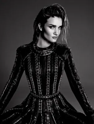 Rosie Huntington-Whiteley 14x17