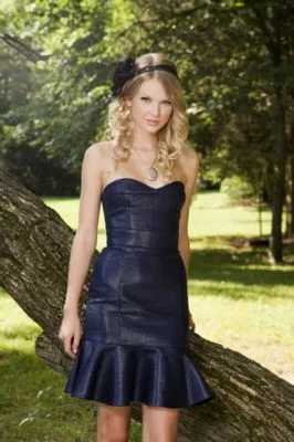 Taylor Swift 12x12