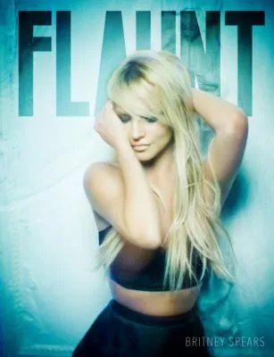 Britney Spears Apron