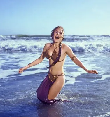 Carrie Fisher 14x17