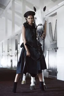 Chanel Iman Metal Wall Art