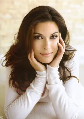 Teri Hatcher Pillow