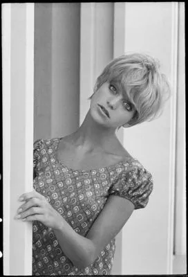 Goldie Hawn Poster