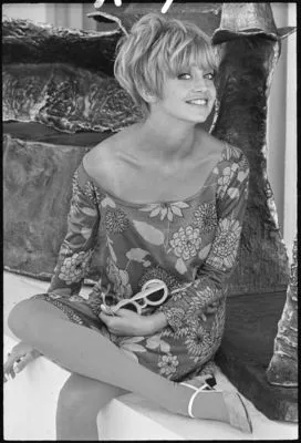 Goldie Hawn Poster