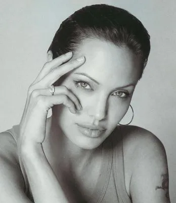 Angelina Jolie Tote