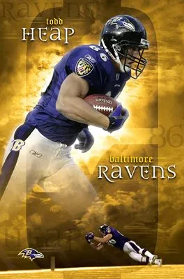 Baltimore Ravens 14x17