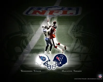 Tennessee Titans 14x17
