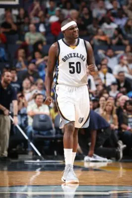 Zach Randolph Poster