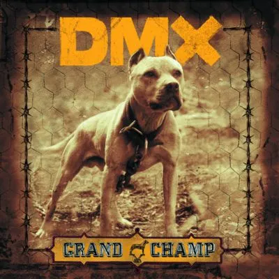 DMX Apron