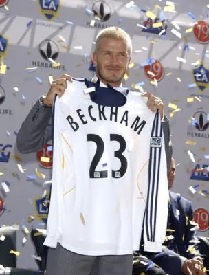 David Beckham Apron