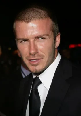 David Beckham 14x17