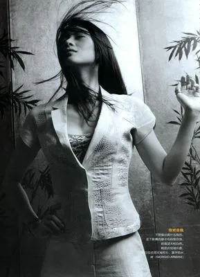 Ziyi Zhang Poster