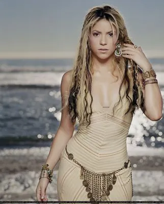 Shakira 11oz Metallic Silver Mug