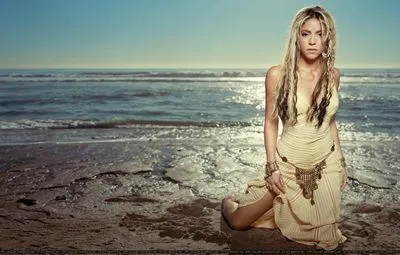 Shakira Tote