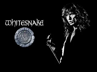 Whitesnake Men's Tank Top