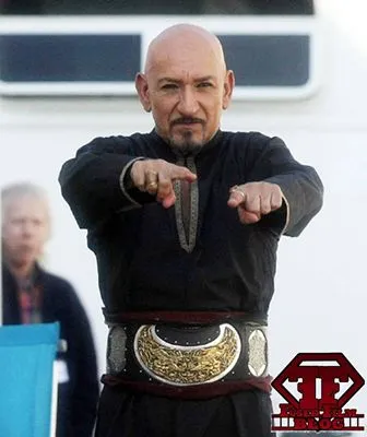 Ben Kingsley Tote