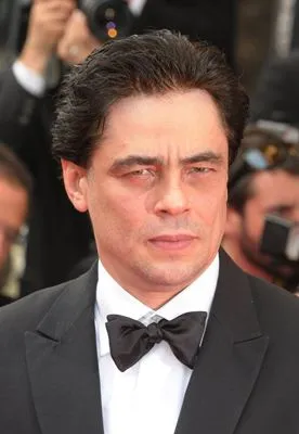 Benicio del Toro Poster