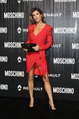 Elisabetta Canalis (events) Prints and Posters