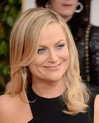 Amy Poehler (events) Prints and Posters