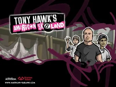 Tony Hawk Poster