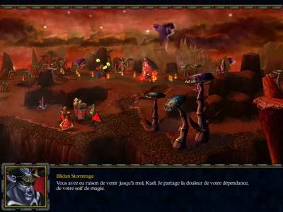 Warcraft 3 Frozen Throne Tote