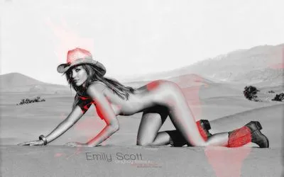 Emily Scott Tote