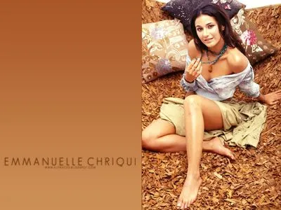 Emmanuelle Chriqui Metal Wall Art