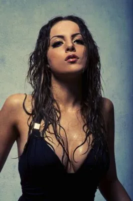 Elizabeth Gillies Poster