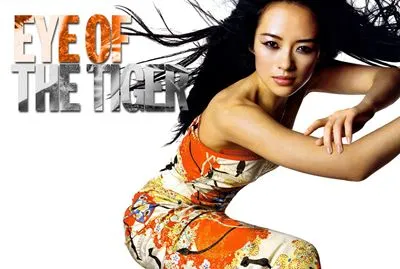 Zhang Ziyi 16oz Frosted Beer Stein