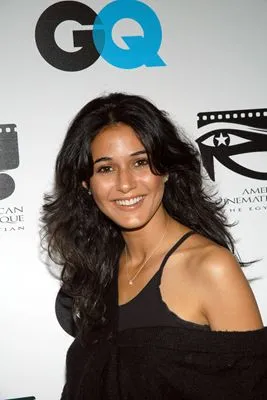 Emmanuelle Chriqui Pillow