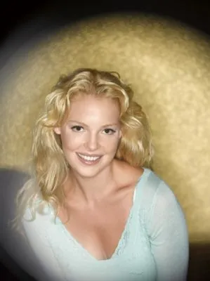 Katherine Heigl Pillow