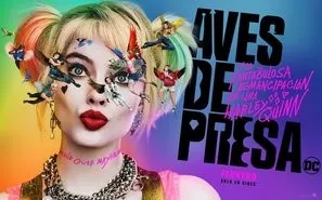 Birds of Prey: And the Fantabulous Emancipation of One Harley Quinn (2020) Poster