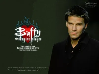 Buffy the Vampire Slayer Poster