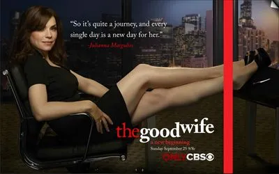 The Good Wife 10oz Frosted Mug