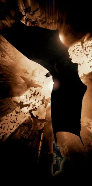 Batman Begins (2005) Prints and Posters