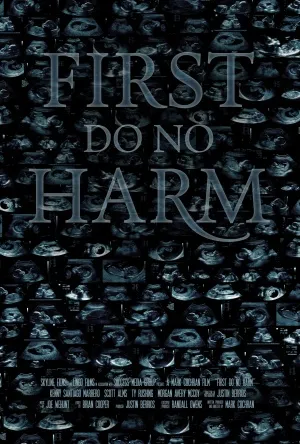 First, Do No Harm (2014) Prints and Posters