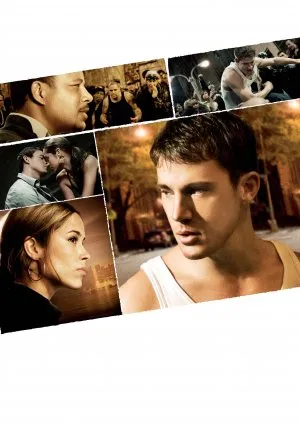 Fighting (2009) Prints and Posters