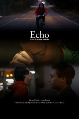 Echo (2019) Prints and Posters