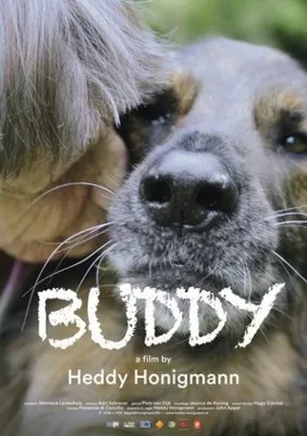 Buddy (2019) Prints and Posters