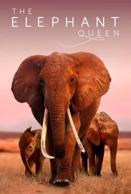 The Elephant Queen (2019) Prints and Posters